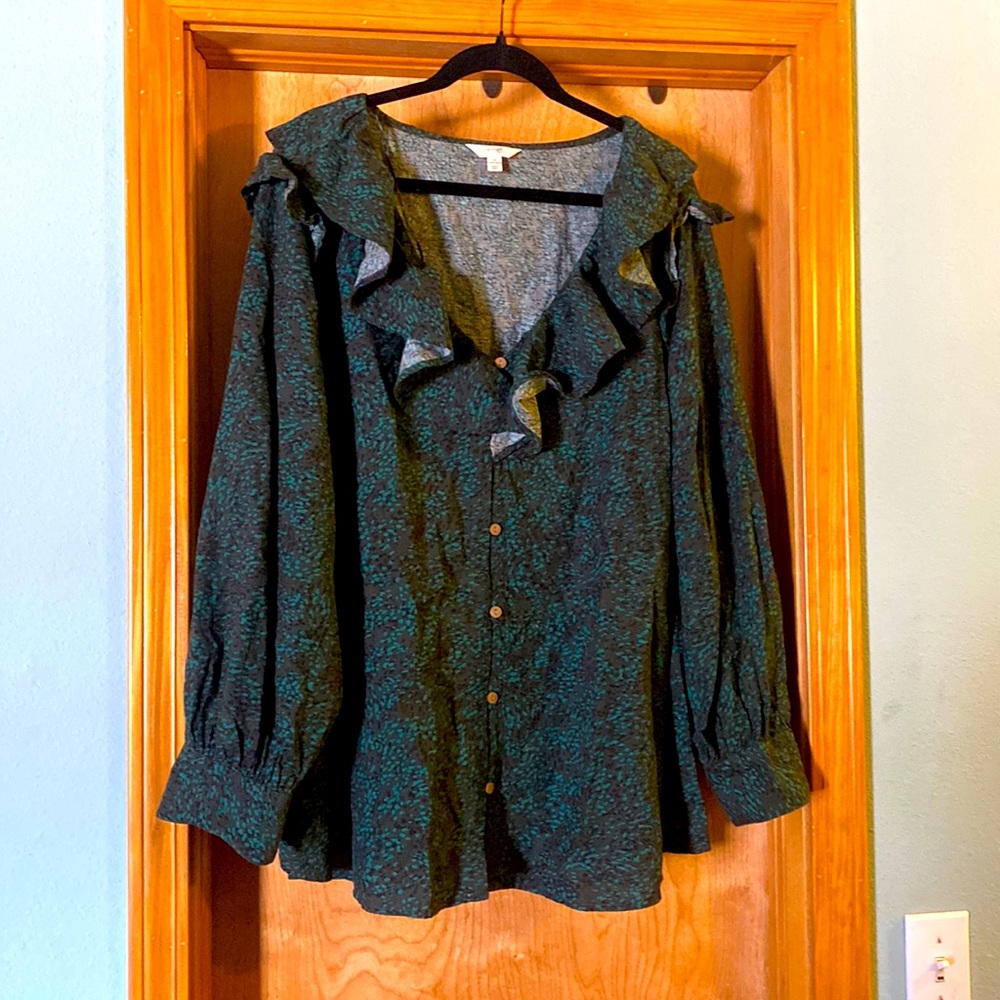 Terra and Sky, long sleeved blouse size 3x